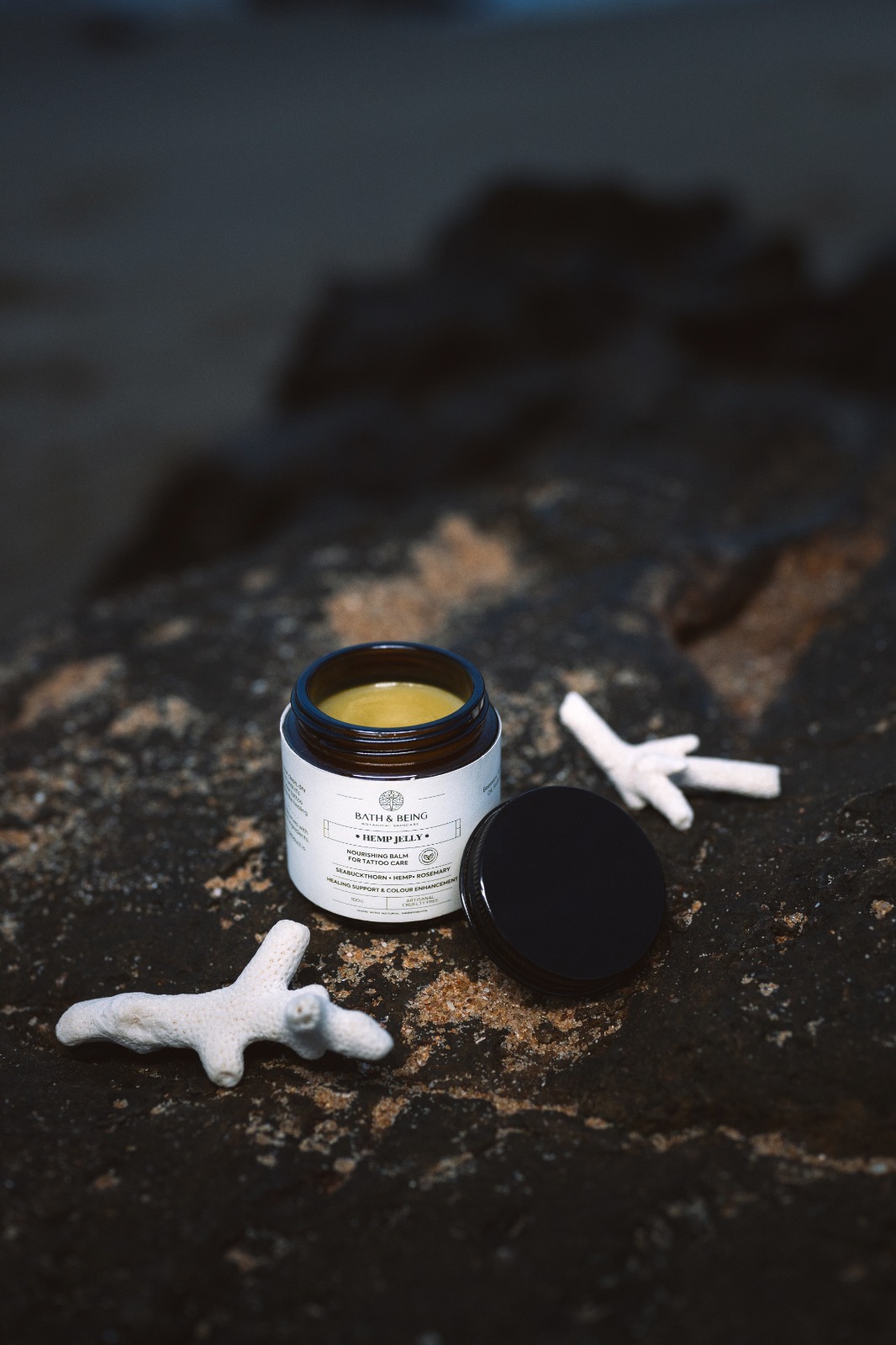 WhatsApp Image 2025-02-18 at 12.51.24 PM